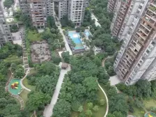 龙头寺 鲁能星城十一街区三房165万