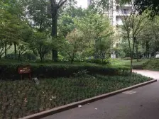 2号线大堰轻轨站,新九龙步行街,配套成熟。