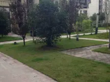 大学城清水联排别墅 满五唯一 业主诚心出售