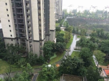 双山朝南朝中庭大三房 自住装修 环保健康