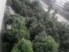 俊峰龙凤云洲 2室1厅 南