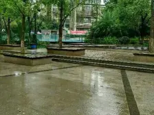 清水价格卖.户型方正,朝中庭视野开阔,毫无遮挡。
