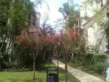 近轻轨,近天街,位置好。业主诚心卖~