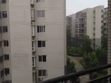 拎包入住的精装两房一卫+小区环境好+物业便宜