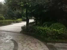 经开区 江南世家三房113万