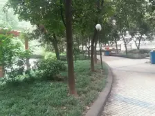 大川花园 1室1厅 南 北