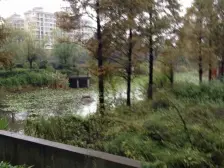 奥林匹克花园 南北通透,采光好 视野好,诚心出售