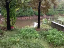 奥林匹克花园 南北通透,采光好 装修好,环镜优美 周边匹套完善,,出行方便