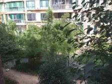 顶楼复式,实际的房面积大,业主诚心出售