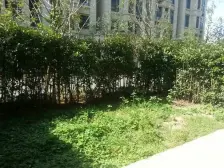 低密度下叠产品,带车位带院子,诚意出售