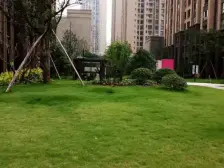 协信城立方玺院 4室2厅 南