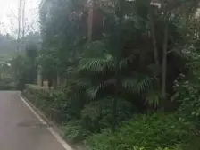 联排别墅,位置安静,环境优美,