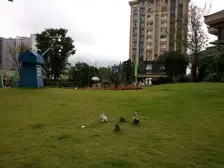 此房格局视野开阔采光充足配套设施齐全,住家装修