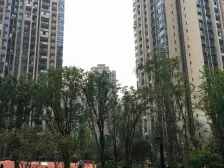 精装修,品牌家具,净化水,中间楼层。出行便利