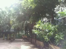 业主诚心出售,户型方正,小区安静绿化好,带露台