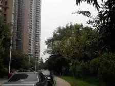 明华龙洲半岛 2室2厅 南 北