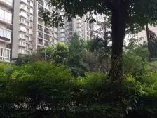 杨公桥 俊峰龙凤云洲二房