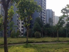 闹中取静的两房 李家坪地铁站旁边 锦绣嘉陵