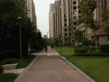大学城 协信城立方天娇名城一期四房105万