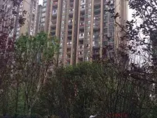 绿岛新区 金科中央公园城10号门四房125万