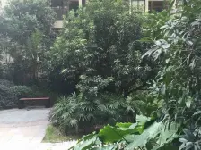 精装大俩房,住家安静,朝向好,视野好。