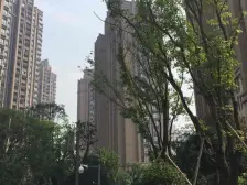 照母山 象屿两江公元四房200万