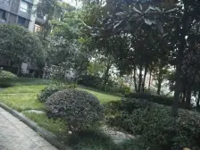 丽都锦城 2室1厅 东南