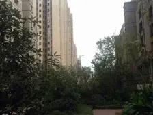 协信顶跃精装洋房 带屋顶花园 楼层高视野好 业主诚售