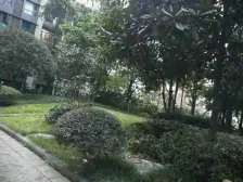 巴南小万达 正规三房双卫 交通出行方便 配套齐全