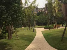 龙湖洋房 安静位置 视野开阔 采光好