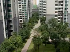 恒大雅苑 2室1厅 东南