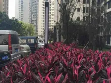 恒基翔龙江畔 4室2厅 西