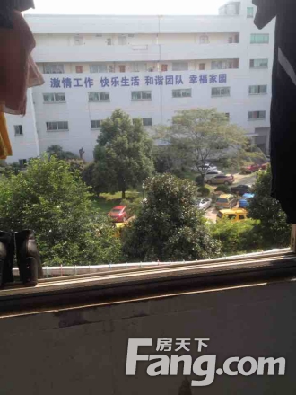 电信巷