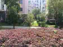 学区房 地铁口 学区未用 看中价格可以谈