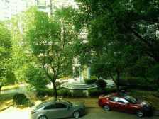 户型方正 出行方便 环境优美