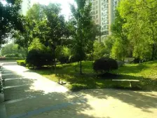 洪城时代广场 1室1厅 西北