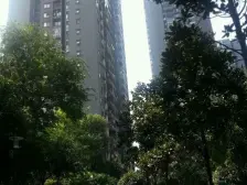 此房是住家装修3房,朝小区.视野开阔,小区环境很好,