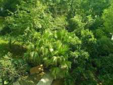 精装修复式风格交付一手房源看中详谈