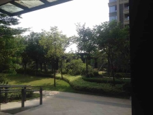 硬装花了50万买来省心省事 景观优美