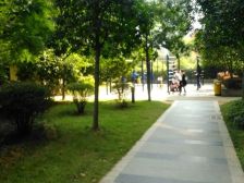 商城世纪村 两梯两户大三房 南北通透格局