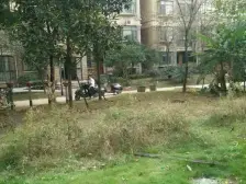 象湖繁华地段 精装修1房