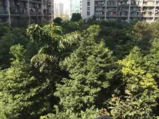 东海长洲 4室2厅 北