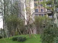 富力城时光里 2室1厅 南