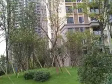 大学城时光里住家精装三房,业主诚心出售