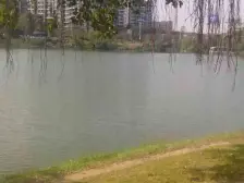 锦绣山河鹭栖湖230平大平层 诚心出售 视野开阔无遮挡