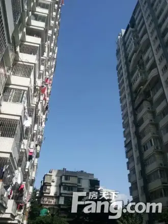 富商世家