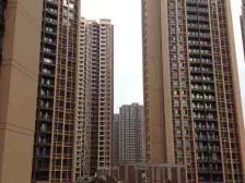 嘉陵春和景明99号 2室2厅 南 北