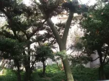 阳光房精装修 南北两房 近沙滩 近地铁