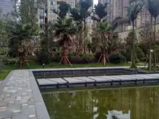 楼层视野好+交通便利+诚心出售+配套完善