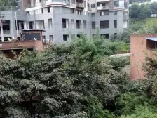 弹子石 阳光100国际新城一房